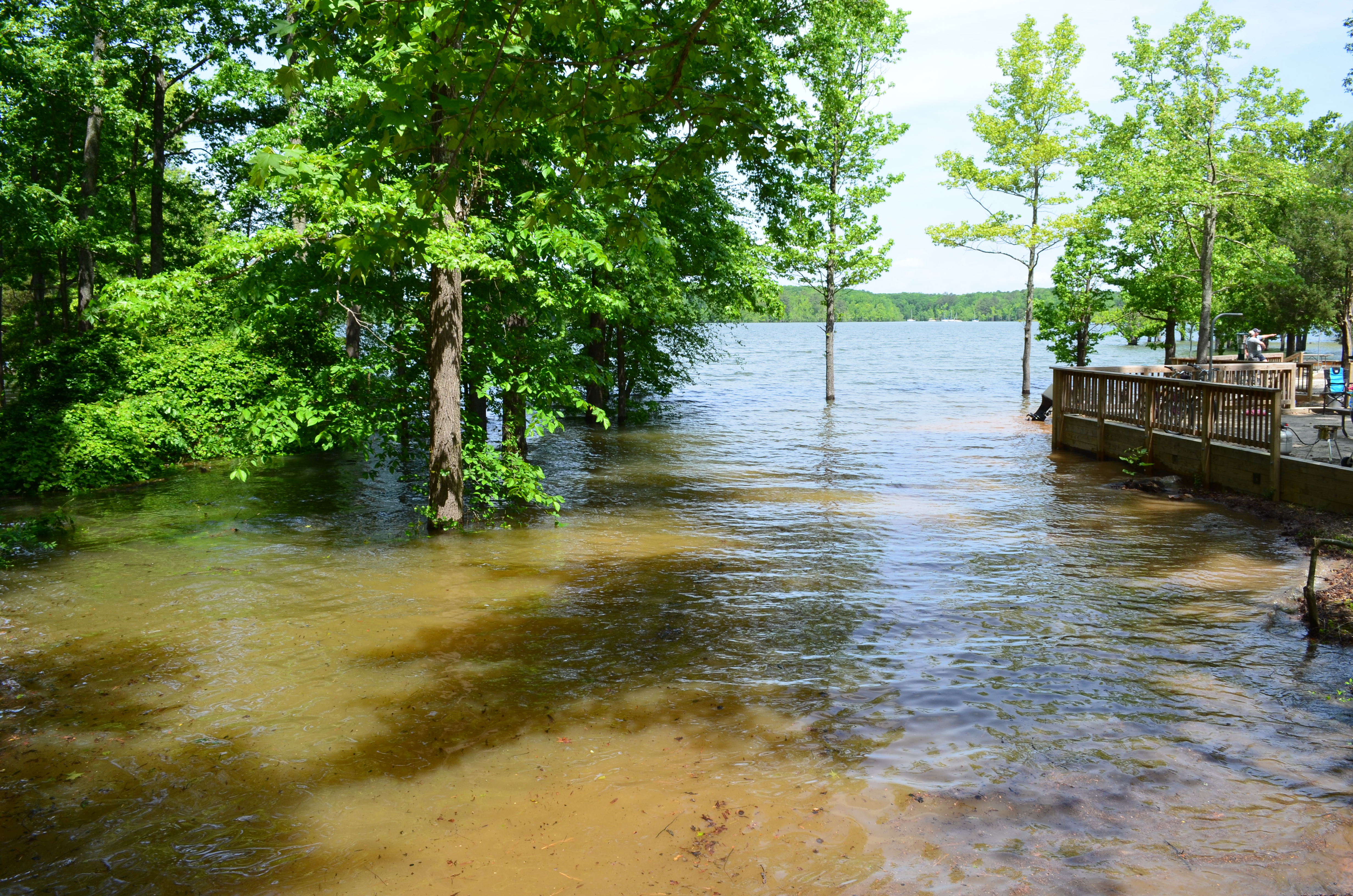 ./2016/09 - Kerr Lake/DSC_0916.JPG